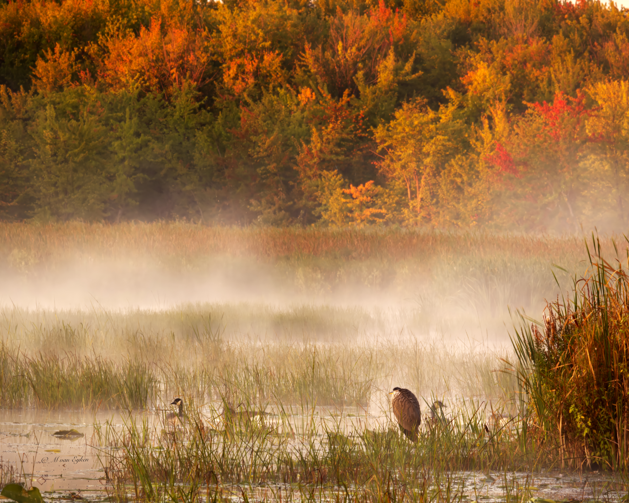 Misty Morning, La Grande Baie, Oka